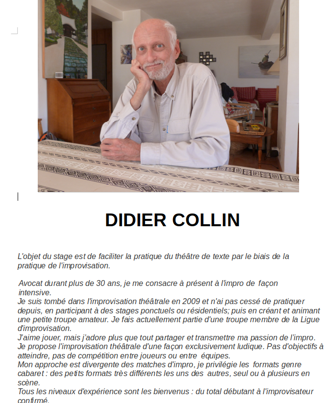 CV  ET PROJET COLLLIN IMPRO